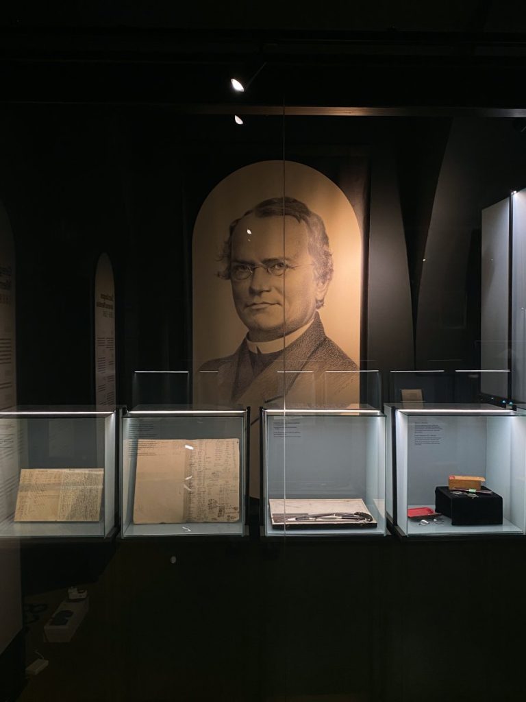 A display case showcasing the must-see attractions in Brno in just one day, featuring a picture of Gregor Mendel, father of Modern Genetics.