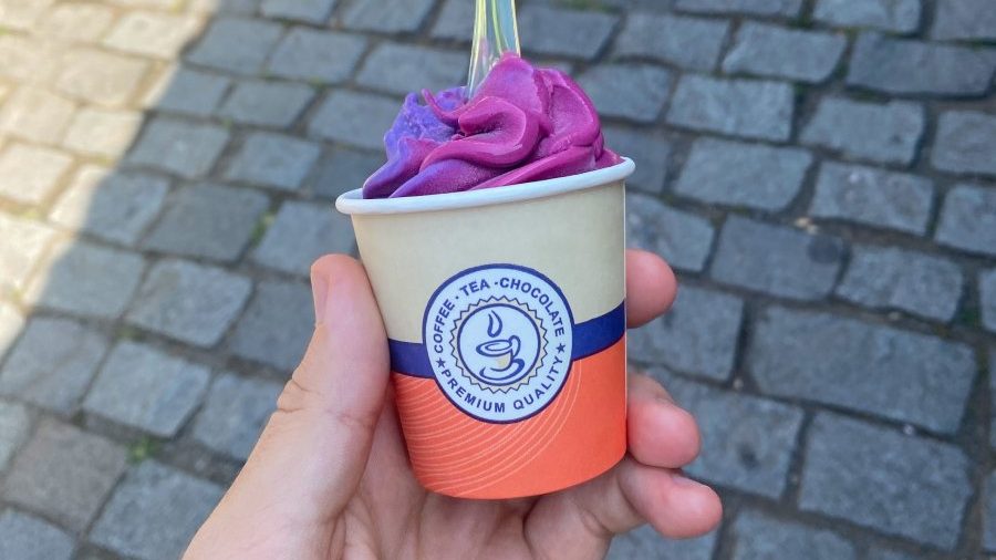 Wine Ice Cream found in Mtskheta, Georgia in a modern-style cup