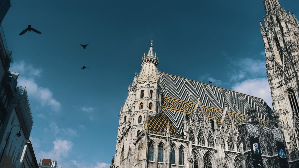 The St. Stephen's cathedral with birds flying over it.