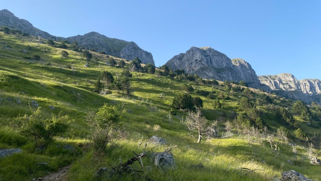 A green forest and a mountain peak in the start of the drakolimni hike