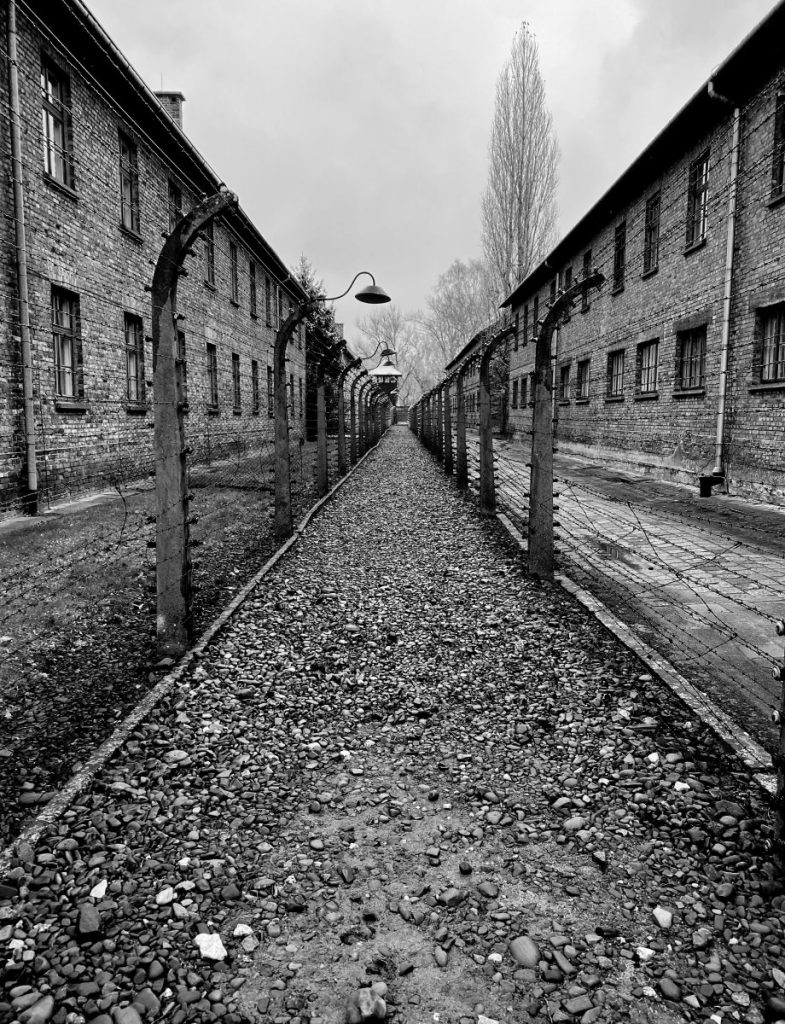 An alley inside the memorial site of Auschwitz-Birkenau. Fences can be seen on each side, and some old buildings too.