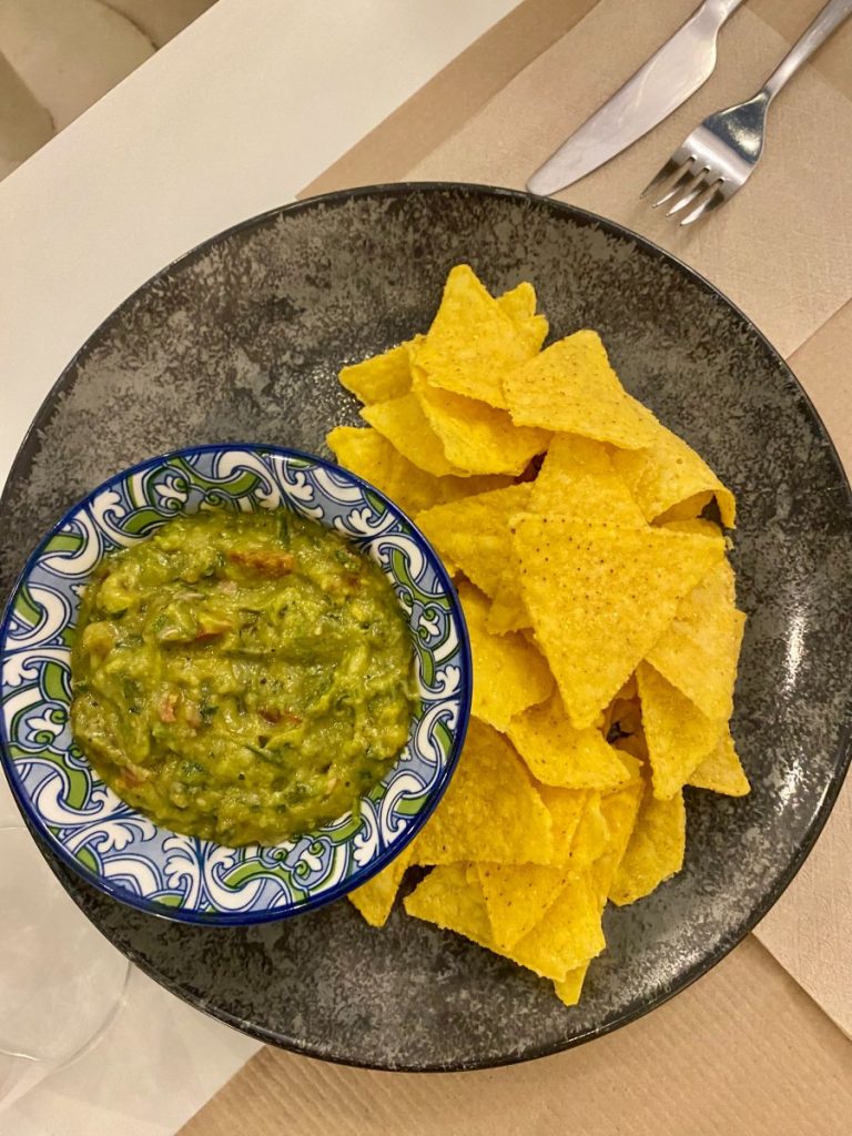 The Guacamole nacho chips plate from Mama Tierra vegan restaurtant