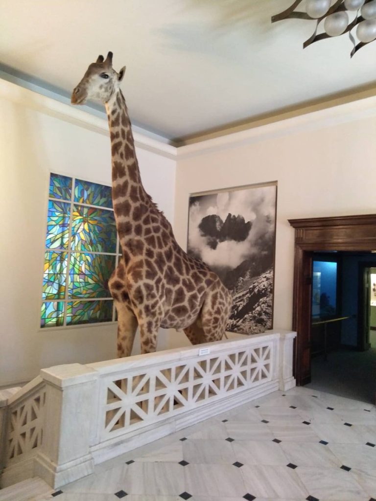 Goulandris Museum of Natural history